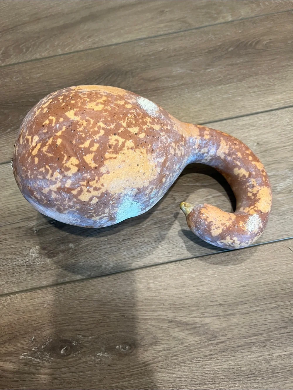 Decorative Rustic Gourd Accent - Orange Speckle
